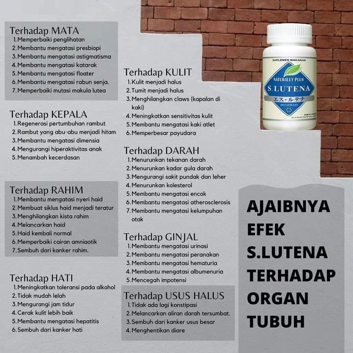 manfaat s lutena untuk organ tubuh